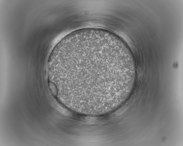 X0000090411371200708101910