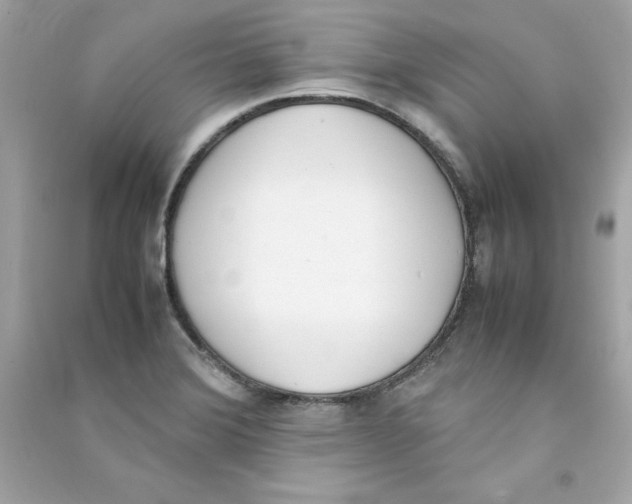 X0000090411372200708101910