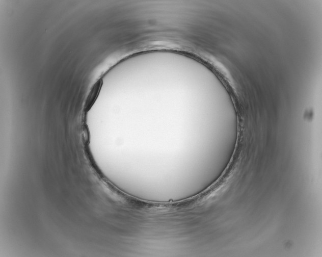X0000090411373200708101910
