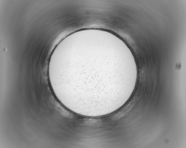 X0000090411374200708101910