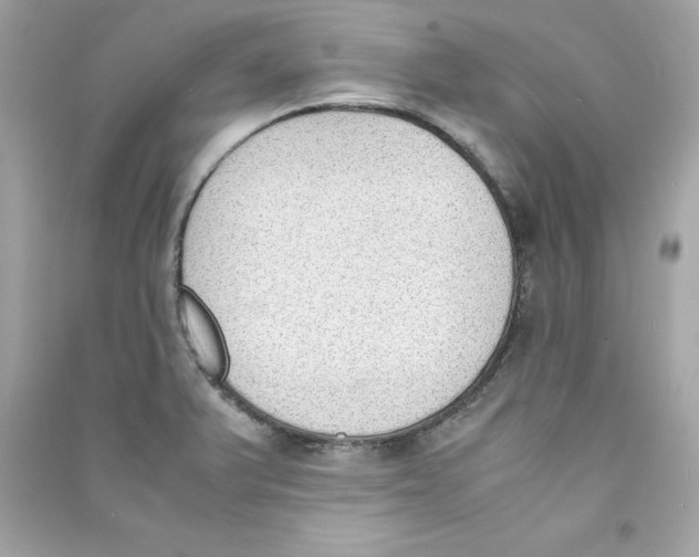 X0000090411375200708101910
