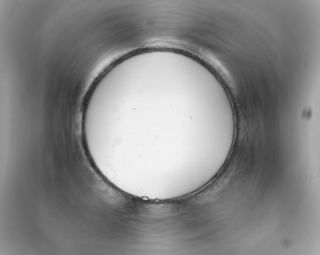 X0000090411376200708101910