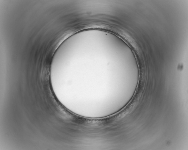 X0000090411377200708101910