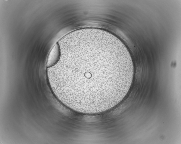 X0000090411378200708101910