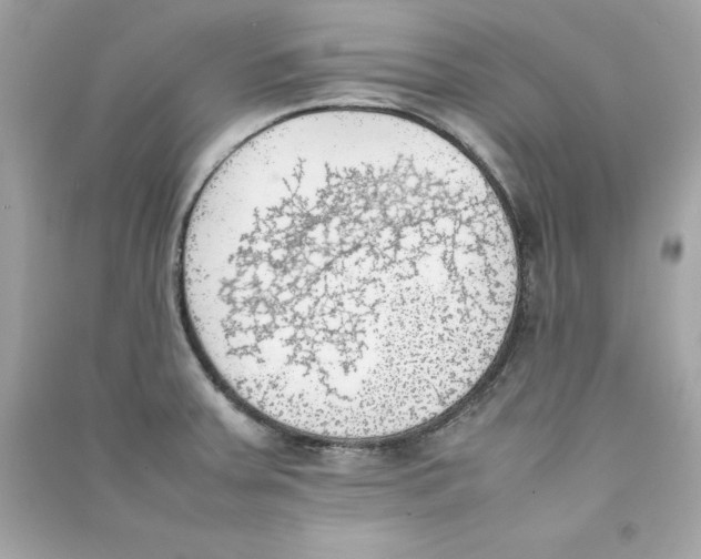 X0000090411379200708101910