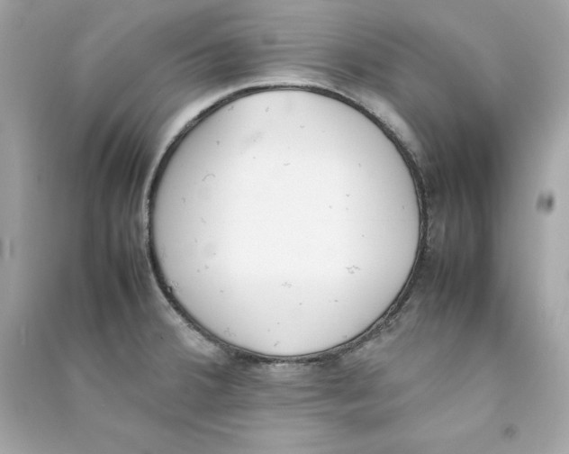 X0000090411380200708101910