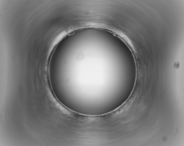 X0000090411381200708101910