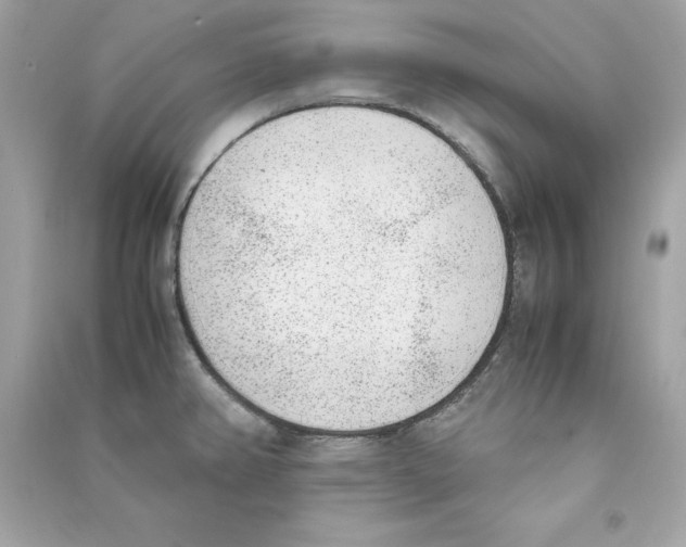 X0000090411382200708101910