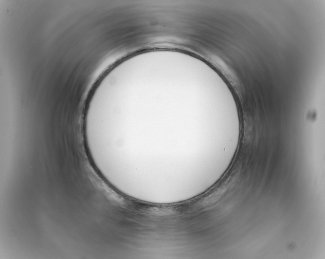 X0000090411384200708101910