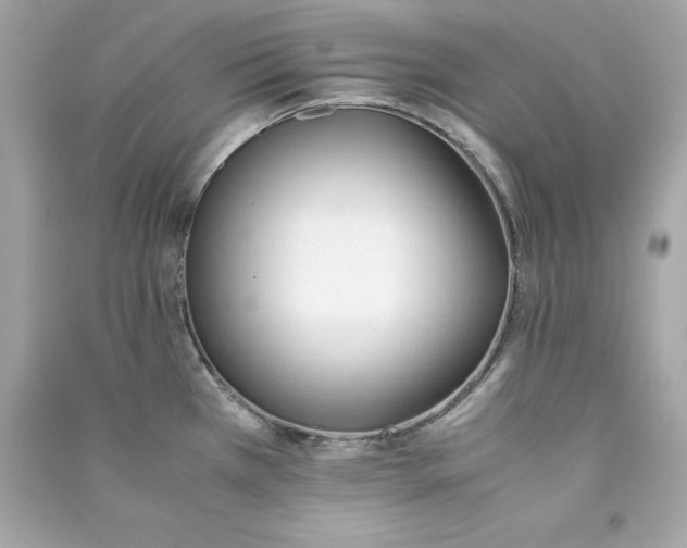 X0000090411385200708101910