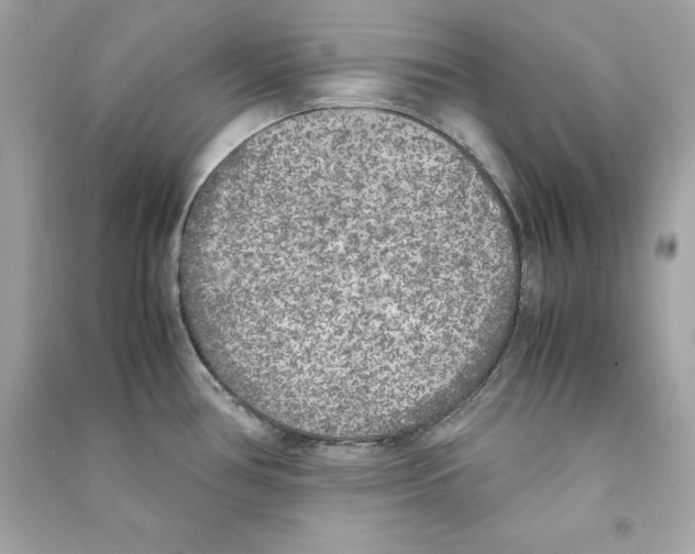 X0000090411386200708101910