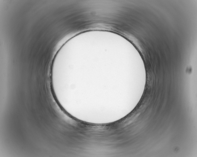 X0000090411387200708101910