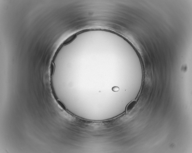 X0000090411388200708101910