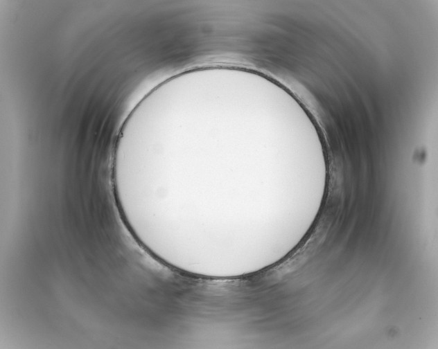 X0000090411390200708101910