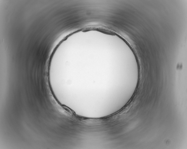 X0000090411392200708101910