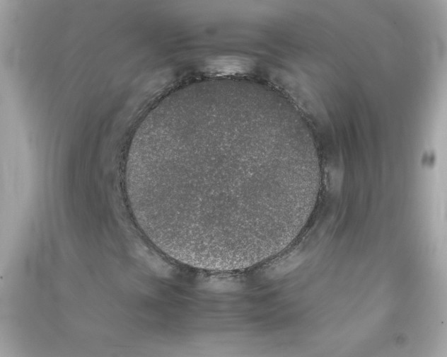 X0000090411393200708101909