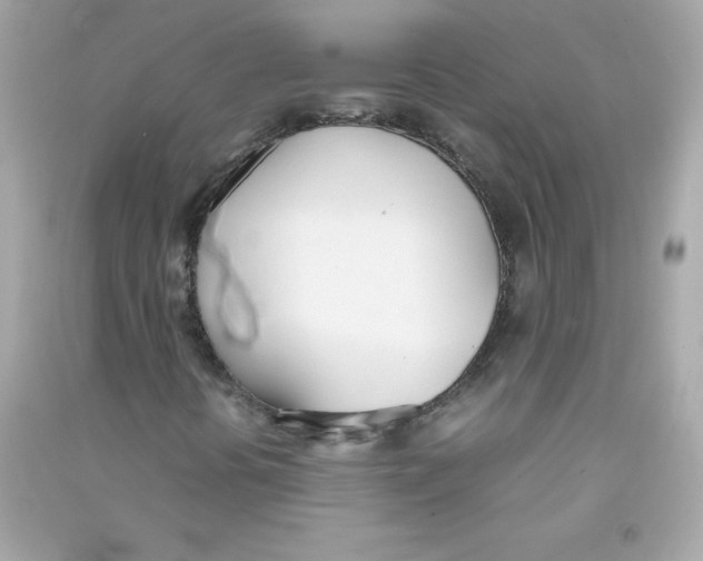 X0000090411394200708101909