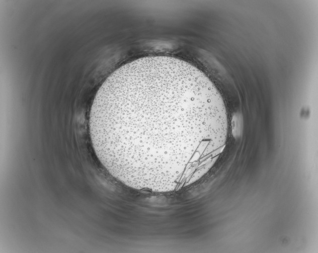 X0000090411395200708101909