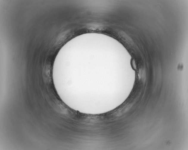 X0000090411396200708101909