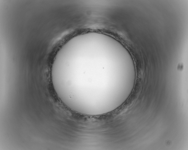 X0000090411398200708101909