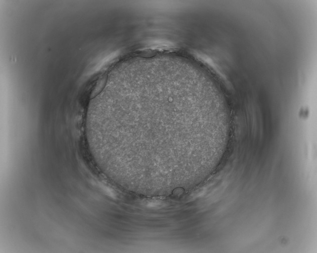 X0000090411399200708101909
