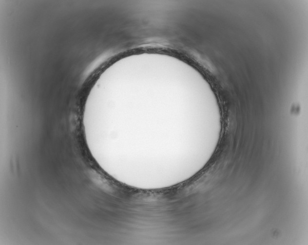 X0000090411400200708101909