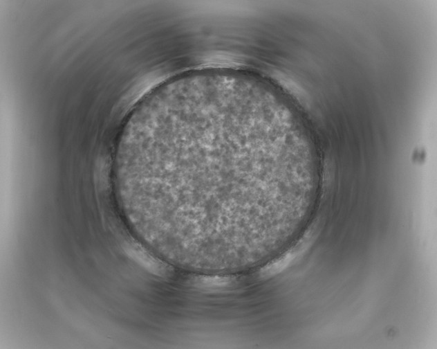 X0000090411401200708101909