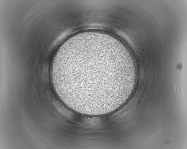 X0000090411403200708101909