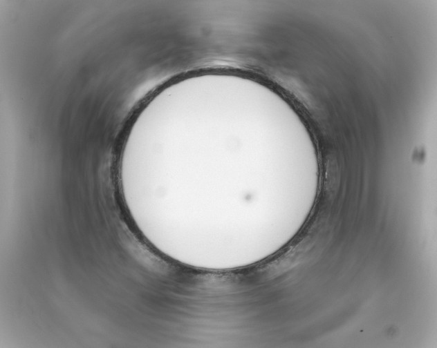 X0000090411404200708101909