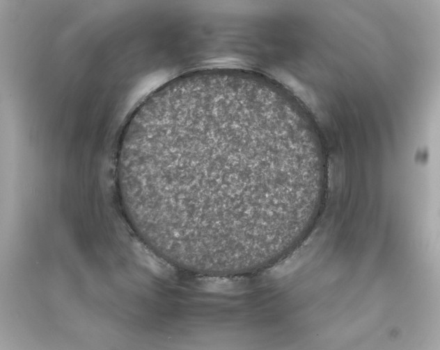 X0000090411405200708101909