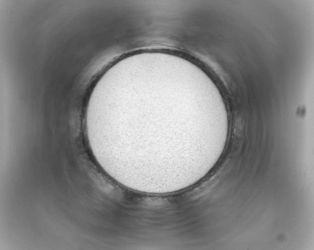 X0000090411407200708101909