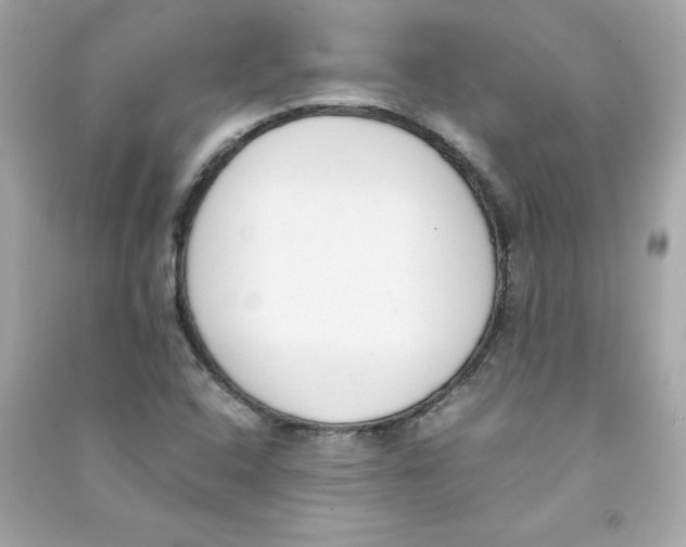 X0000090411408200708101909