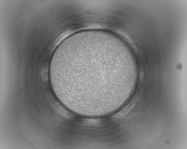 X0000090411409200708101909