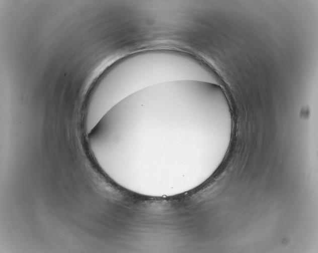 X0000090411410200708101909