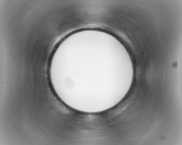 X0000090411412200708101909