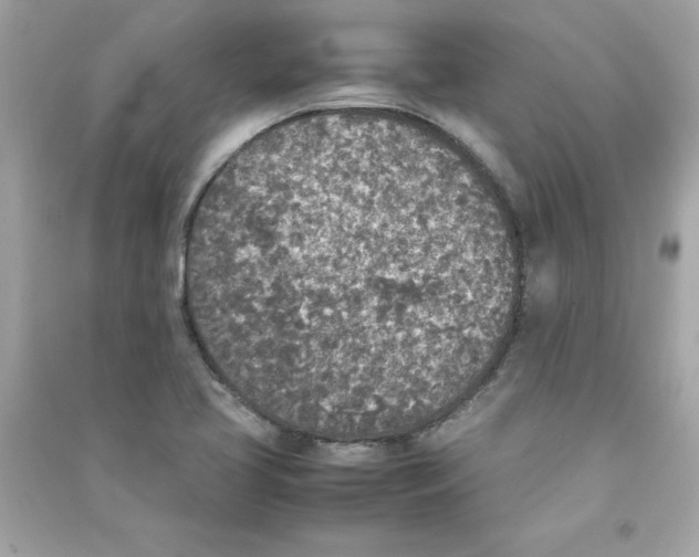 X0000090411413200708101909