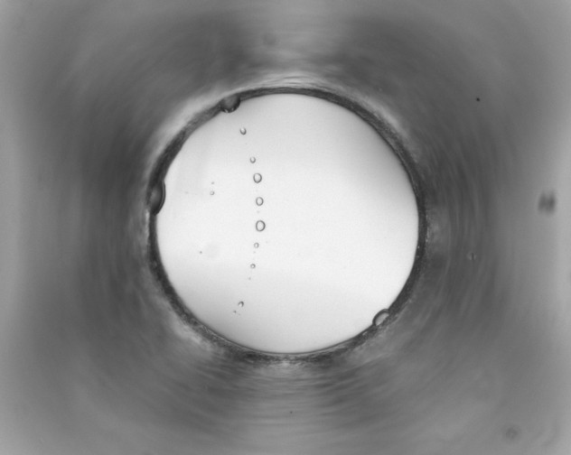 X0000090411414200708101909
