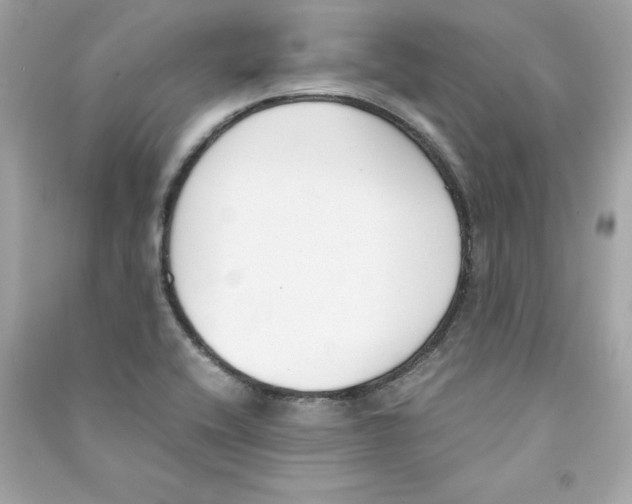 X0000090411416200708101909