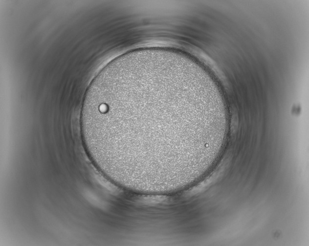 X0000090411417200708101909