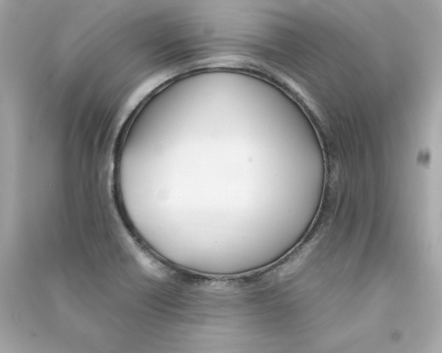 X0000090411418200708101909