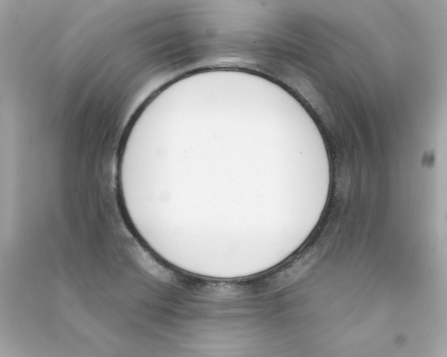 X0000090411420200708101909