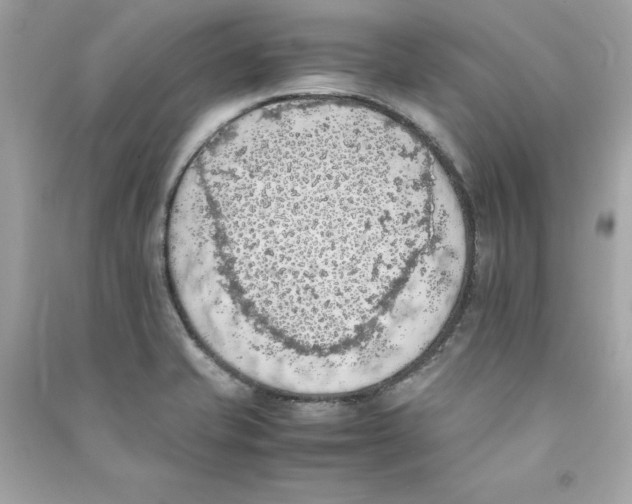 X0000090411421200708101909