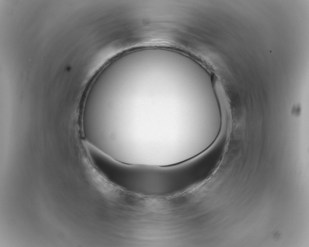 X0000090411422200708101909