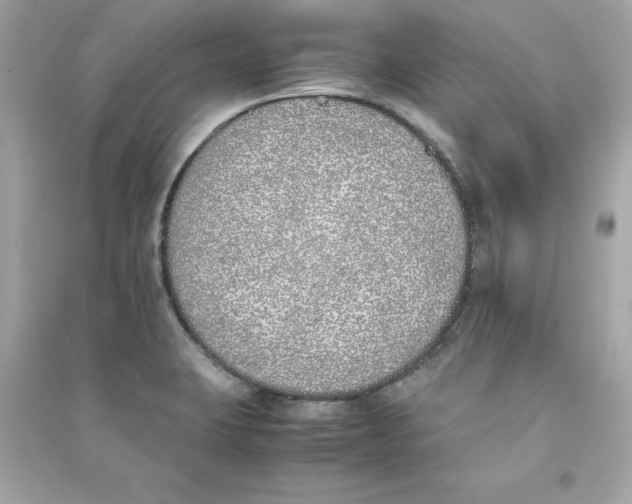 X0000090411423200708101909