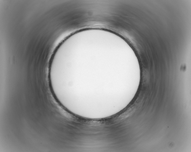 X0000090411424200708101909