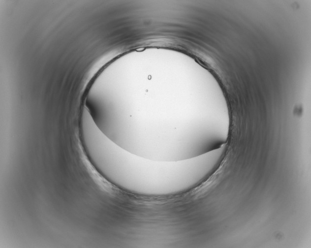 X0000090411426200708101909