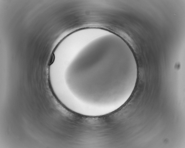 X0000090411428200708101909