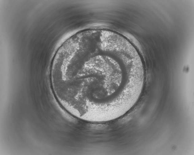X0000090411429200708101909