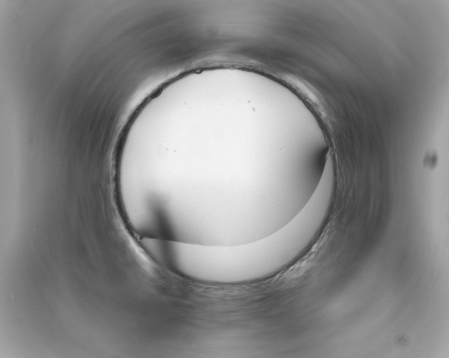 X0000090411430200708101909