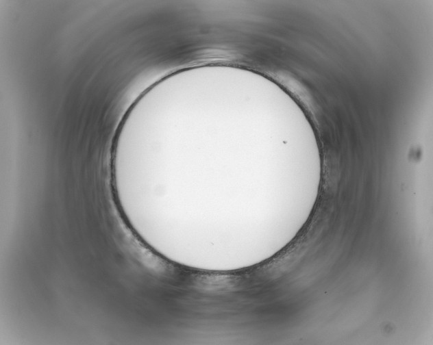 X0000090411431200708101909